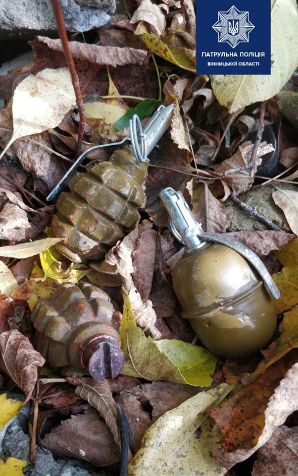 Біля Вишенського озера знайшли сховок з боєприпасами (Фото)